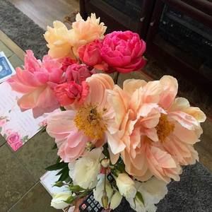 Meet your Posher, Mary